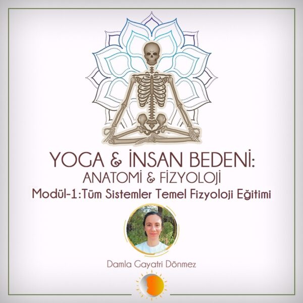Yoga & İnsan Bedeni Modül-1: Tüm Sistemler Temel Fizyoloji Eğitimi (10 Ders)
