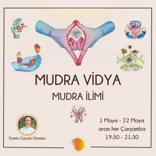 Mudra Vidya: Mudra İlimi (4 Ders)