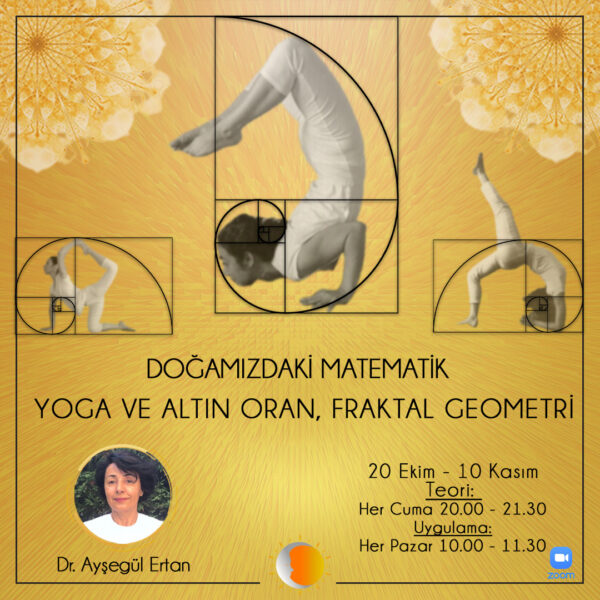 Doğamızdaki Matematik: Altın Oran, Fraktal Geometri ve Yoga