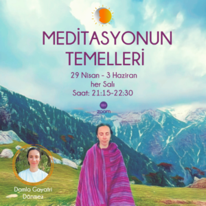 Meditasyonun Temelleri Eğitimi